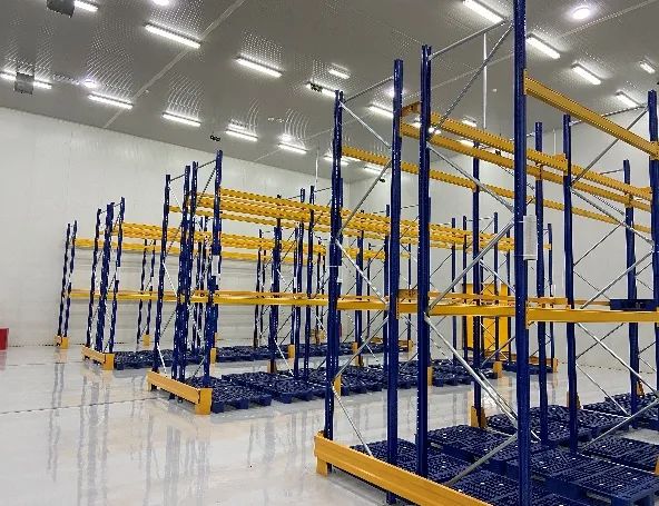 Egypt’s Vaccine Warehouse 20221020 3